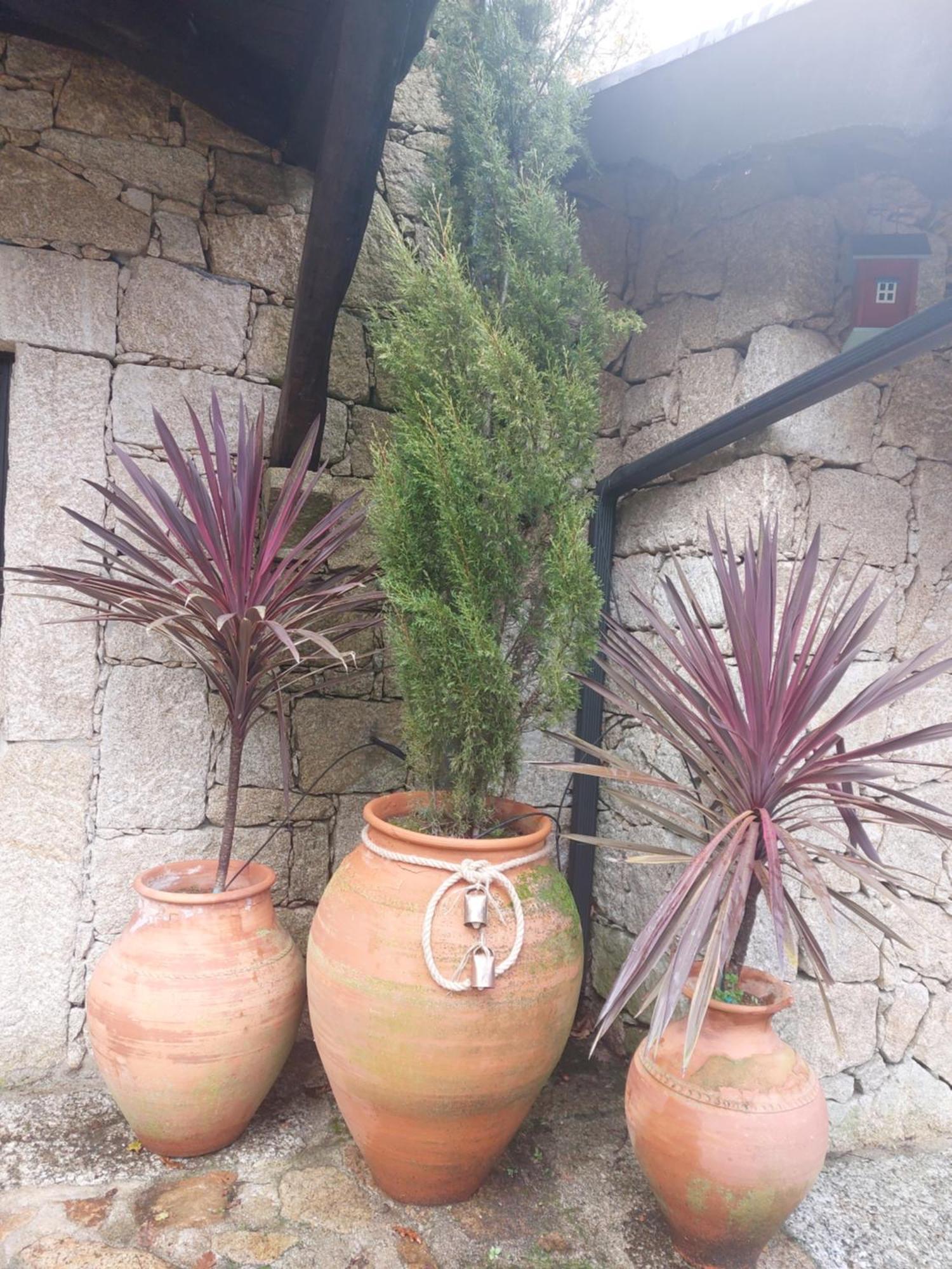 Quinta Do Caneiro