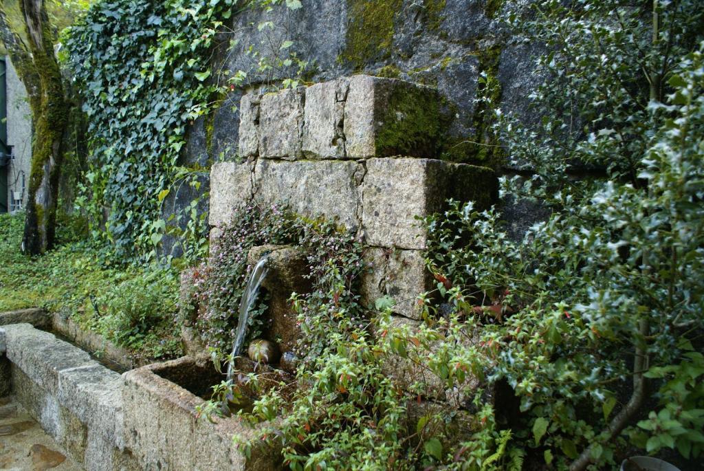 Quinta Do Caneiro *